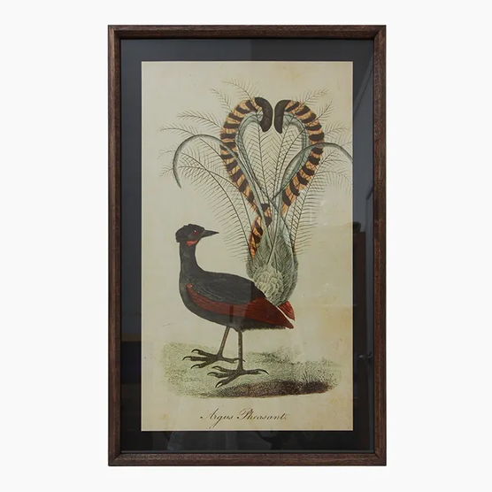 Pheasant and Lyre Bird Wall Art Set of 2 - Handmade Canvas Prints for Living Room & Bedroom Decor