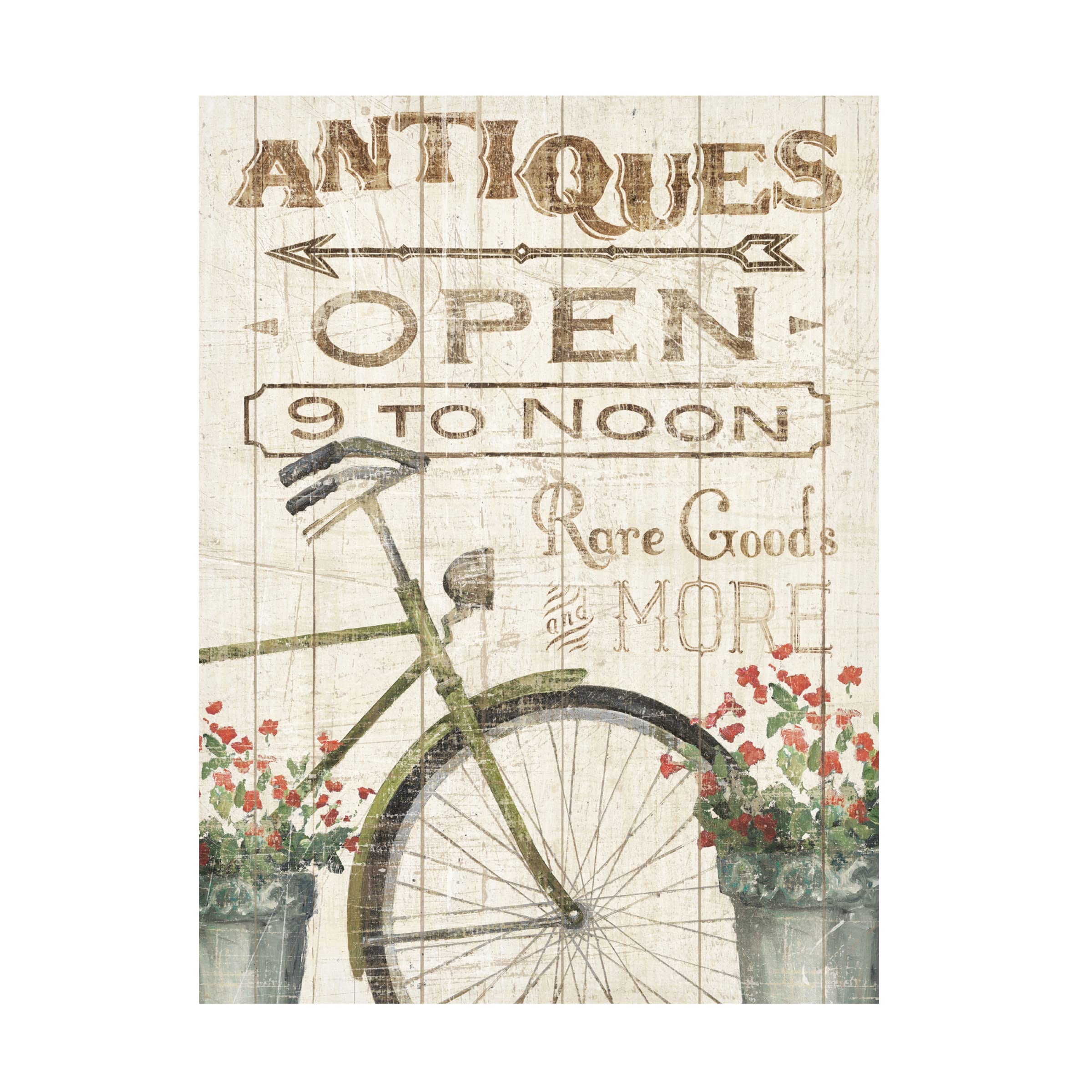 Trademark Fine Art 'Flea Market Bike' Canvas Wall Art Print by Wild Apple - Vintage Cycling Decor for Living Room, Bedroom & Office