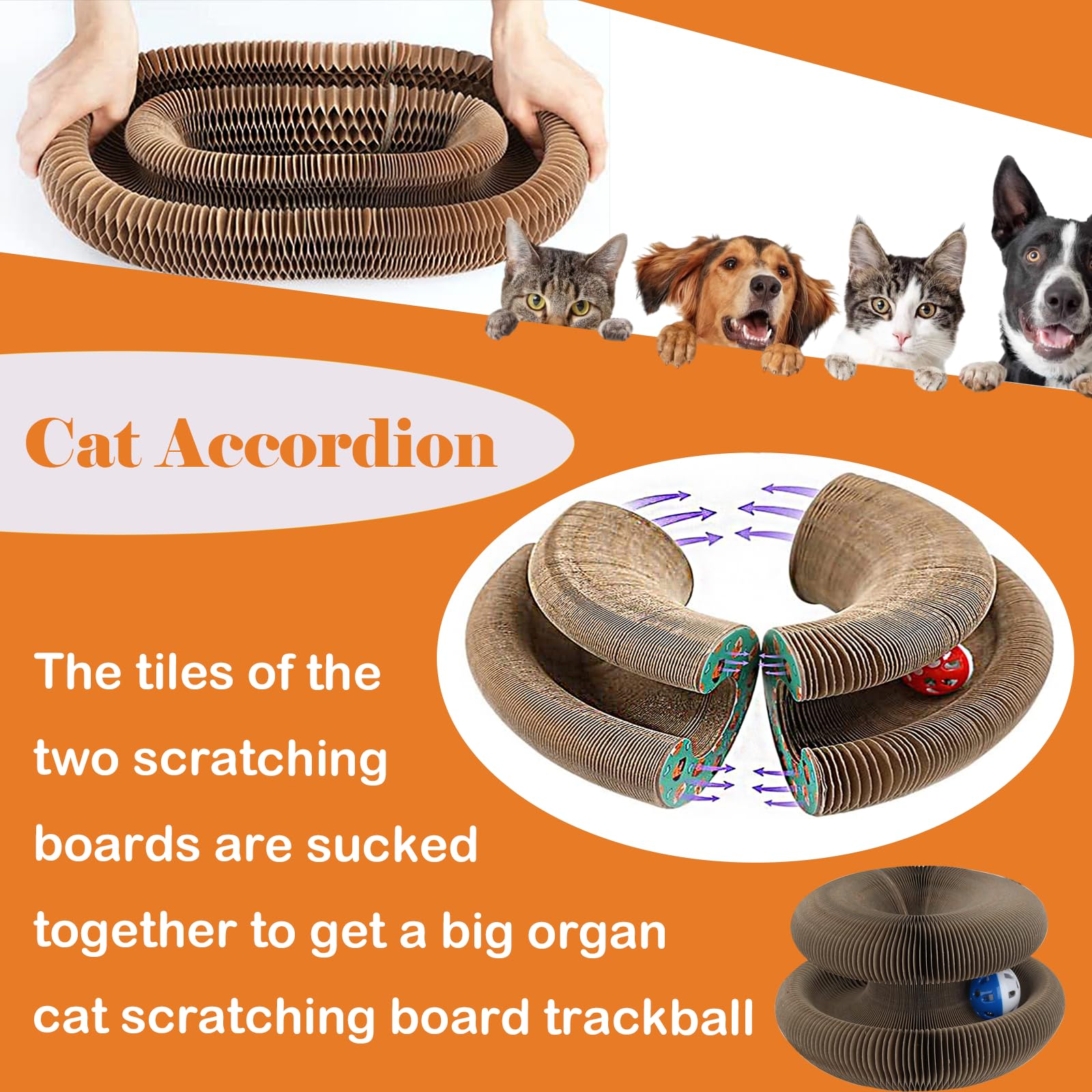 Magic Organ Cat Scratching Board - 2 Pack Interactive Cat Toy with Bell, Kitten Scratcher & Exercise Post for Indoor Cats - Perfect for Playtime, Training & Stress Relief
