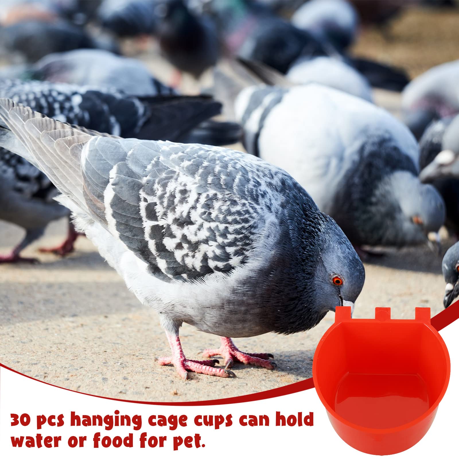 30 Pcs Plastic Bird Feeders and Water Dispenser - Hanging Cage Cups for Small Coop, Parrot, Parakeet, Chicken, Quail, Pigeon, Gamefowl - Durable Pet Poultry Food Seed Bowls & Watering Dishes (Red) - Perfect for Backyard Coops, Aviaries, and Bird Cages