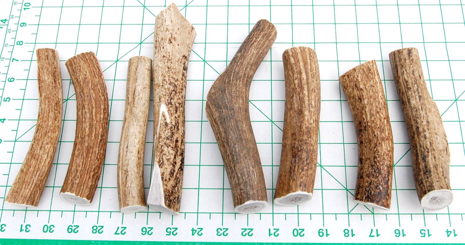 Premium Extra Large 2-Pack Elk Antler Dog Chews (6-10 Inches) - Natural Long-Lasting Dental Treats for Medium & Large Breed Dogs & Puppies - Perfect for Aggressive Chewers, Teething Relief & Dental Health