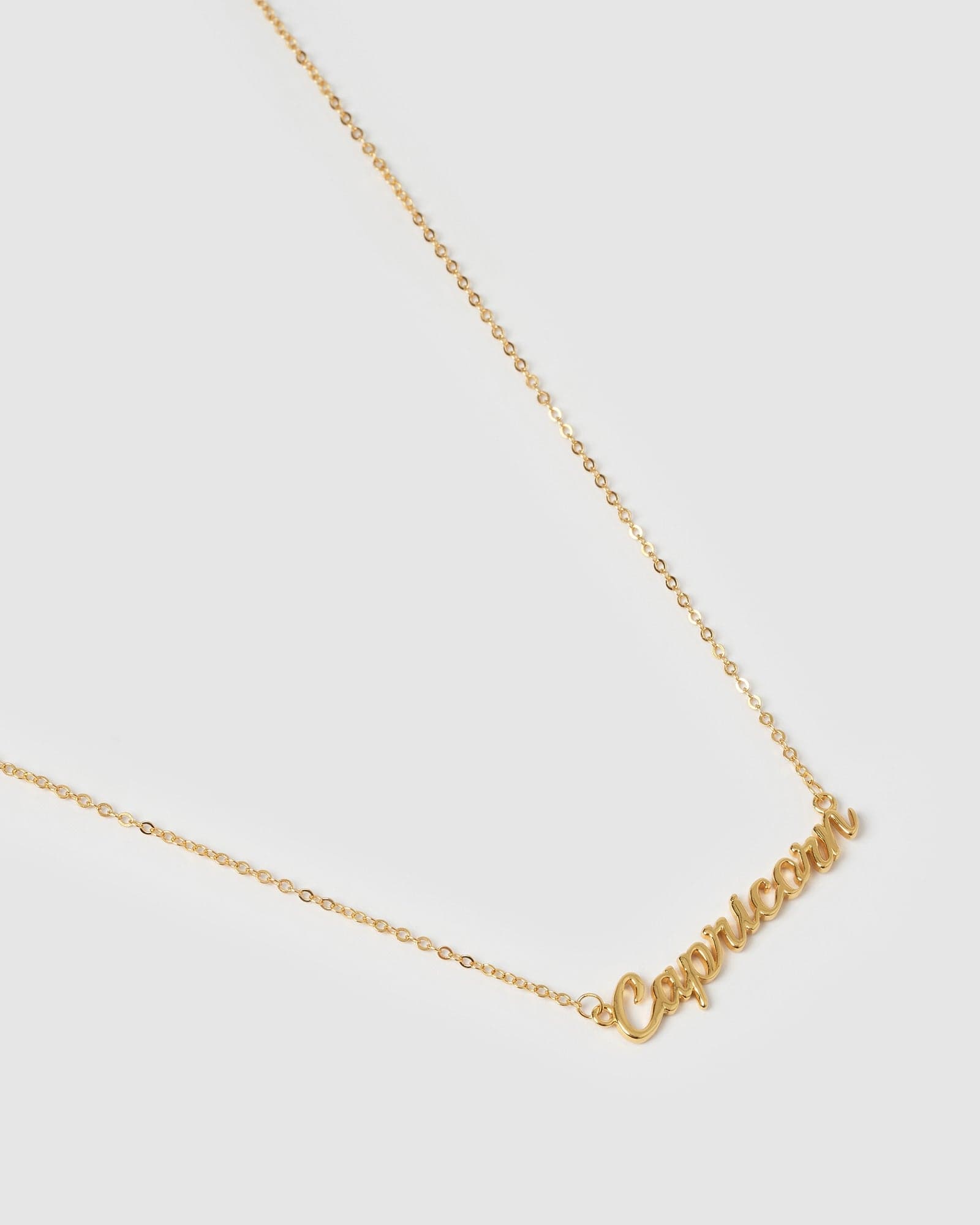 Capricorn Zodiac Necklace in Gold - Perfect for Birthdays, Gifts & Astrology Lovers