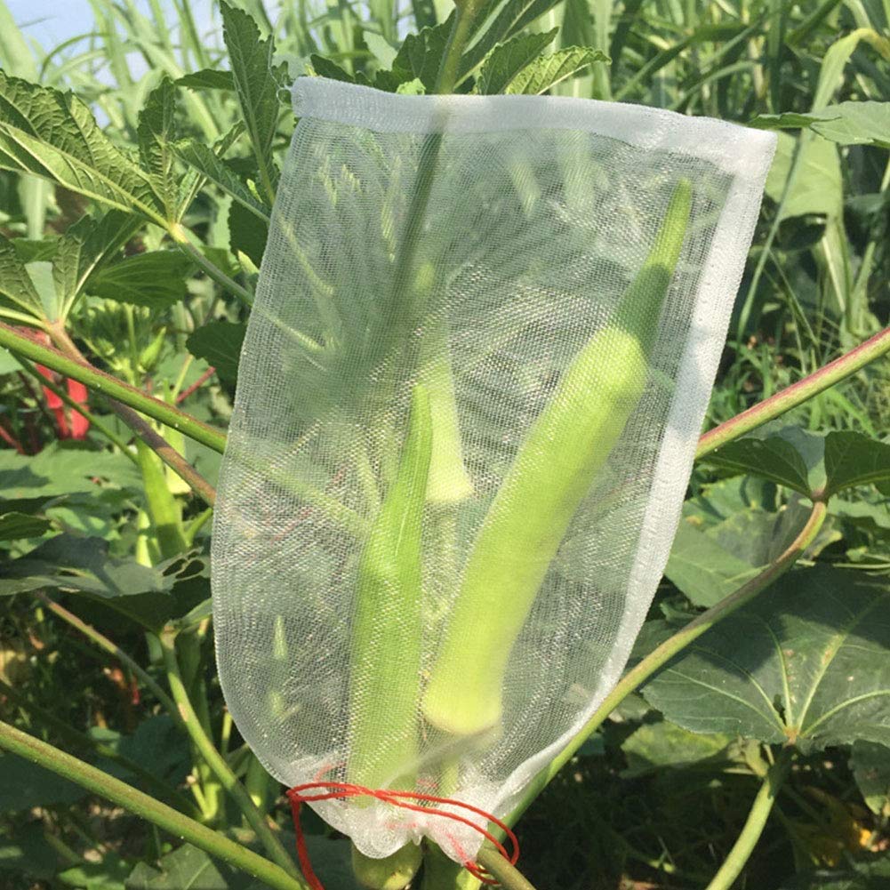 Maius 100 Pack 4x6 Inch Reusable Nylon Mesh Bags with Drawstring - Fruit Protection Bags for Plants, Seeds, Flowers & Vegetables | Garden Pest Control, Harvest Storage & Organizing Small Items