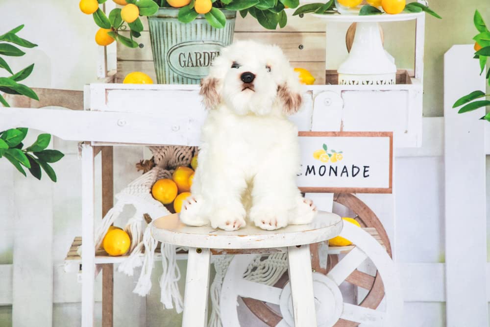7x5ft Lemon Photography Backdrop - Summer Lemonade Party Decor, Birthday Banner Background for Portraits & Photo Props | Perfect for Baby Showers, Bridal Showers, and Outdoor Events