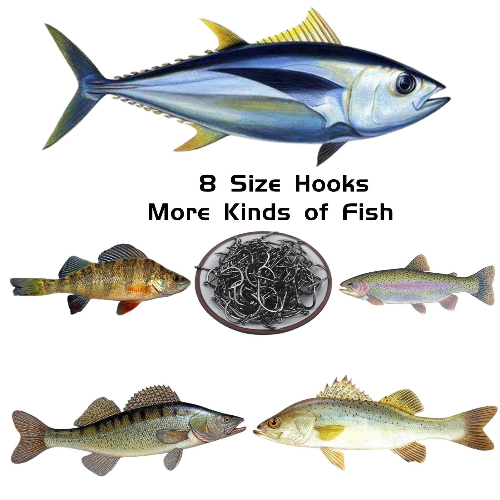 Premium Fishing Hooks Set for Freshwater & Saltwater Fishing - Bulk Worm & Catfish Hooks Kit - Durable Fishing Gear Equipment Supplies for Bass, Trout, and Saltwater Species - Perfect for Shore Fishing, Boat Angling, and Ice Fishing Adventures