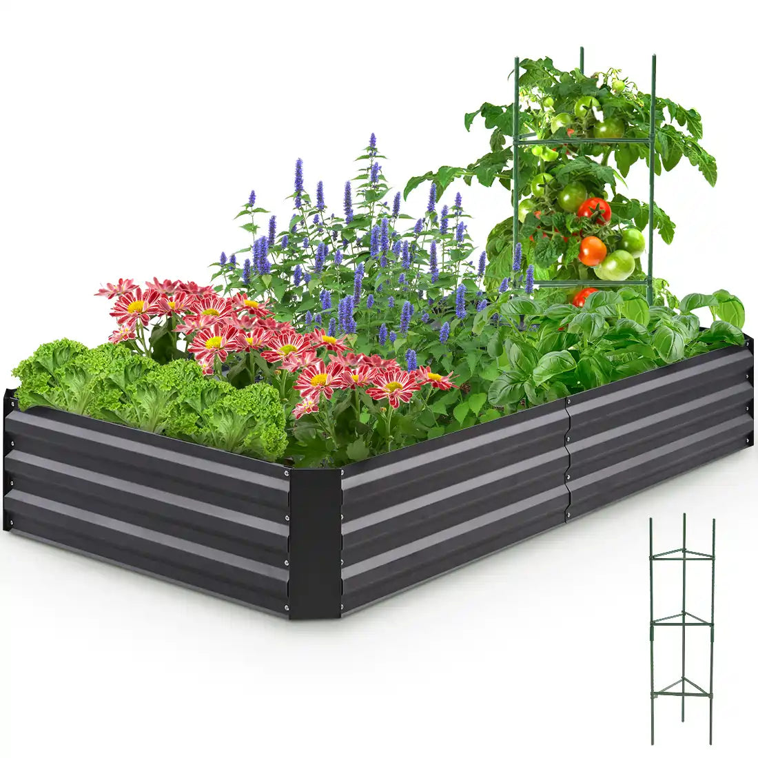 Elevated Raised Garden Bed Kit for Vegetables, Herbs & Flowers - Durable Outdoor Planter Box for Backyard, Patio & Balcony Gardening