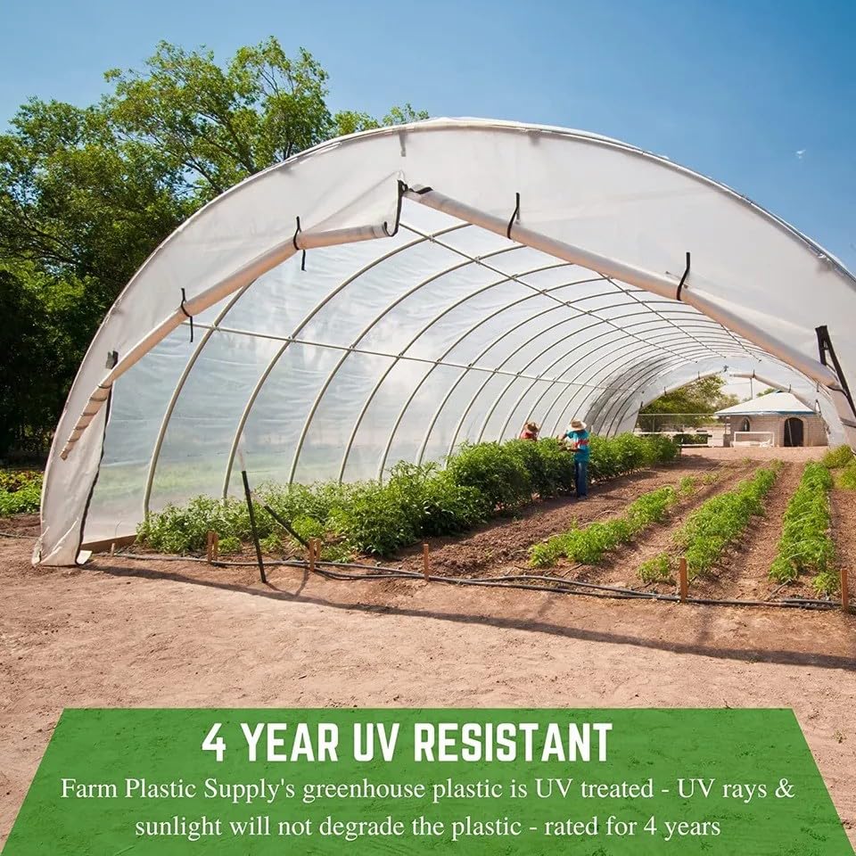 4-Year Clear 6 Mil Greenhouse Plastic Sheeting - Durable Polyethylene Film for Greenhouses, Plant Covers & DIY Projects (32' x 100') - Perfect for Year-Round Gardening, Seed Starting & Frost Protection