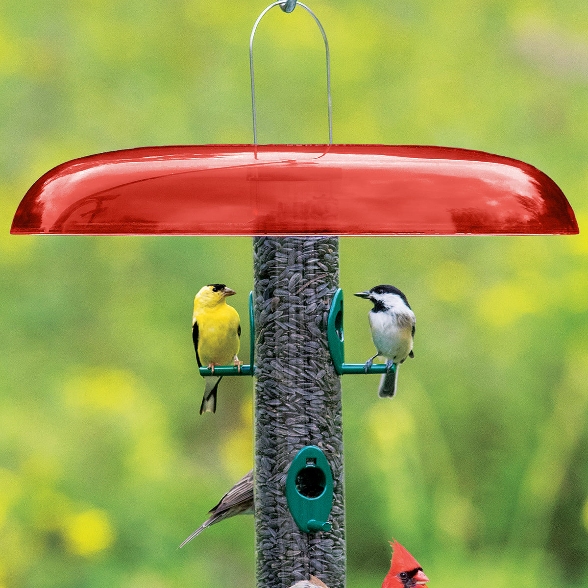 Duncraft Red Slot Baffle - Premium Squirrel Proof Bird Feeder Baffle for Outdoor Use, Garden & Backyard Bird Watching
