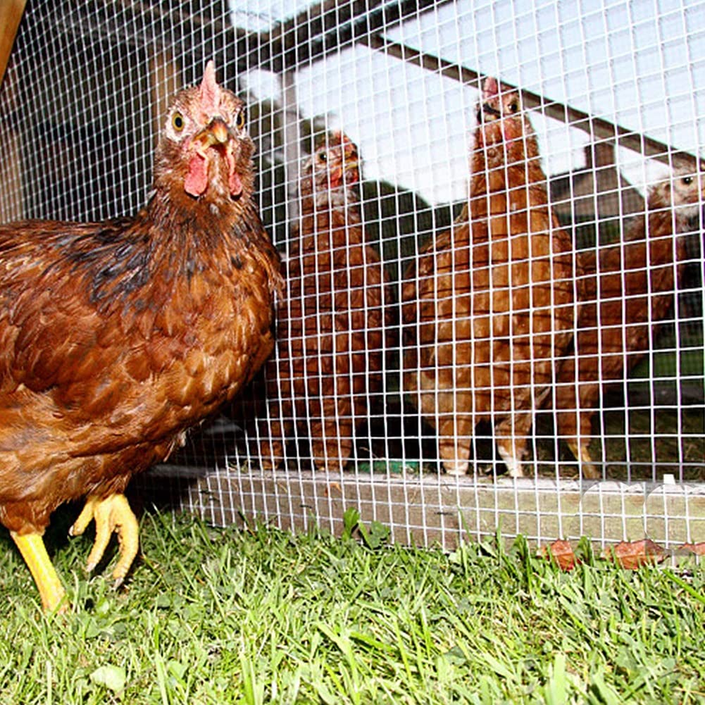 XXIOJUN 304 Stainless Steel Welded Wire Fence - 1/2 Inch Mesh Hardware Cloth for Garden, Chicken Coop, Animal Enclosure & DIY Home Improvement (Silver, 0.8x10m) - Durable Fencing Solution for Vegetable Protection, Poultry Safety & Backyard Security