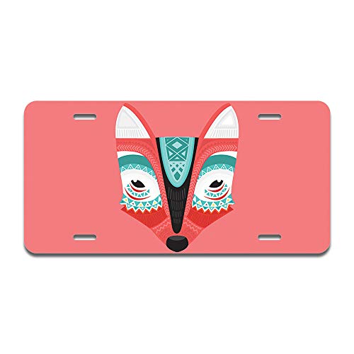 Aztec Fox