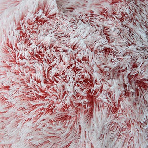 P-pink Ombre