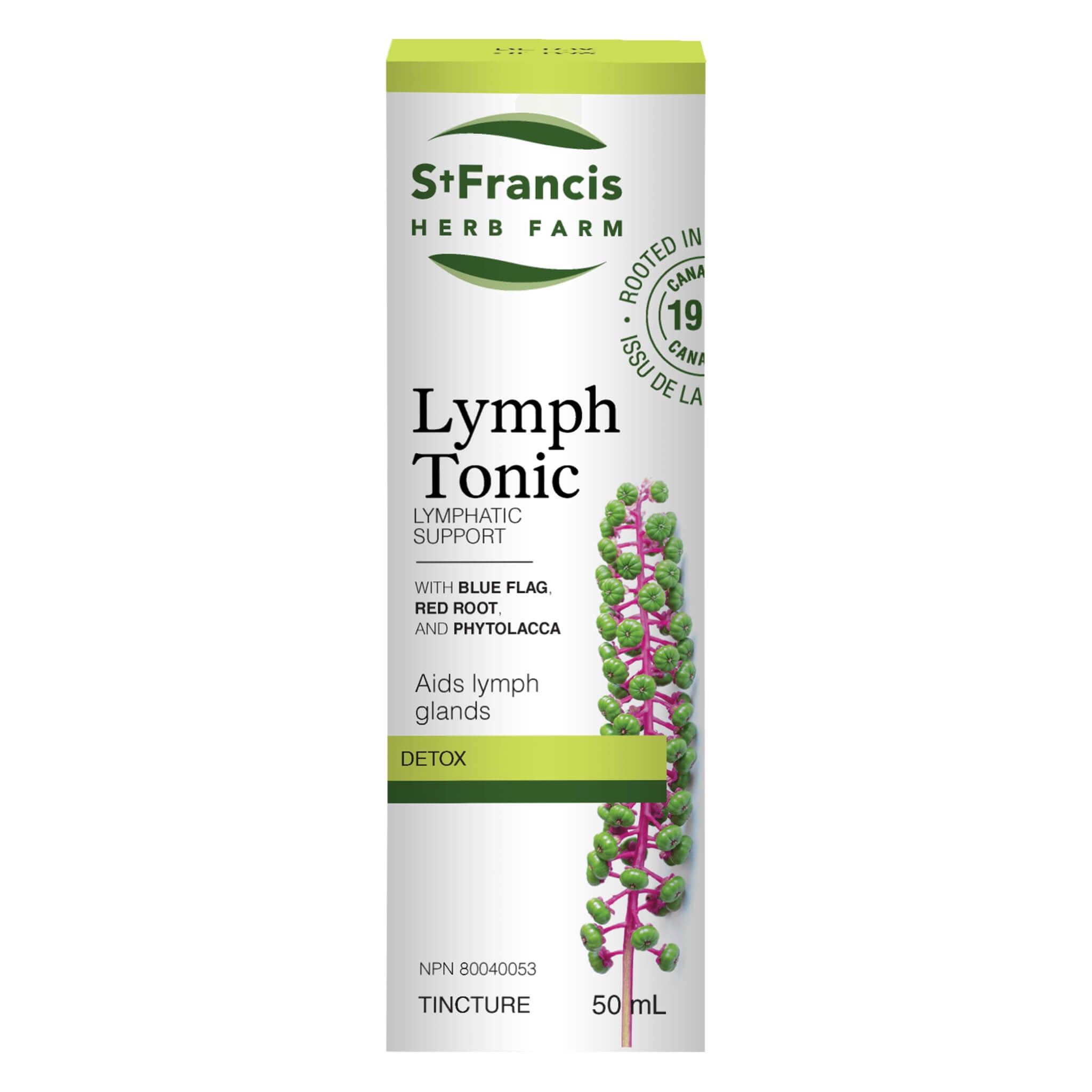 Lymph Tonic Supplement for Immune Support & Detox – Natural Herbal Remedy for Lymphatic Drainage & Wellness | Boost Energy & Vitality for Daily Health