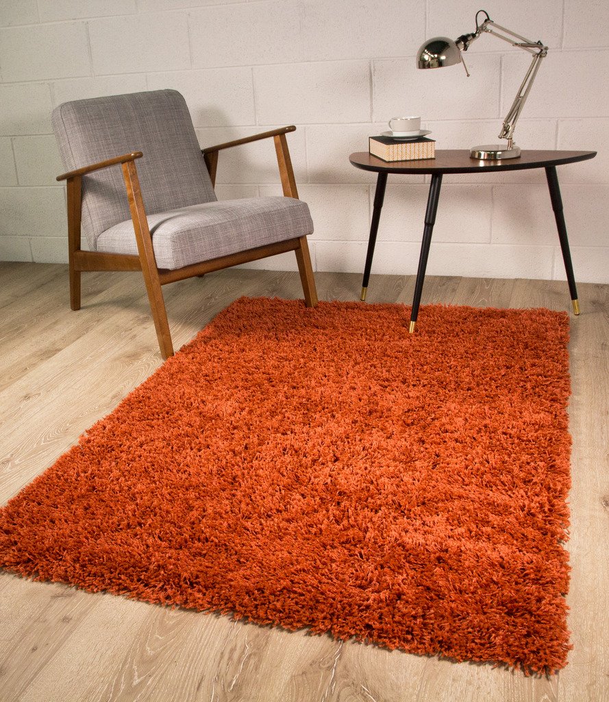 Premium Burnt Orange Terracotta Shaggy Soft Pile Area Rug - 2' x 3'7
