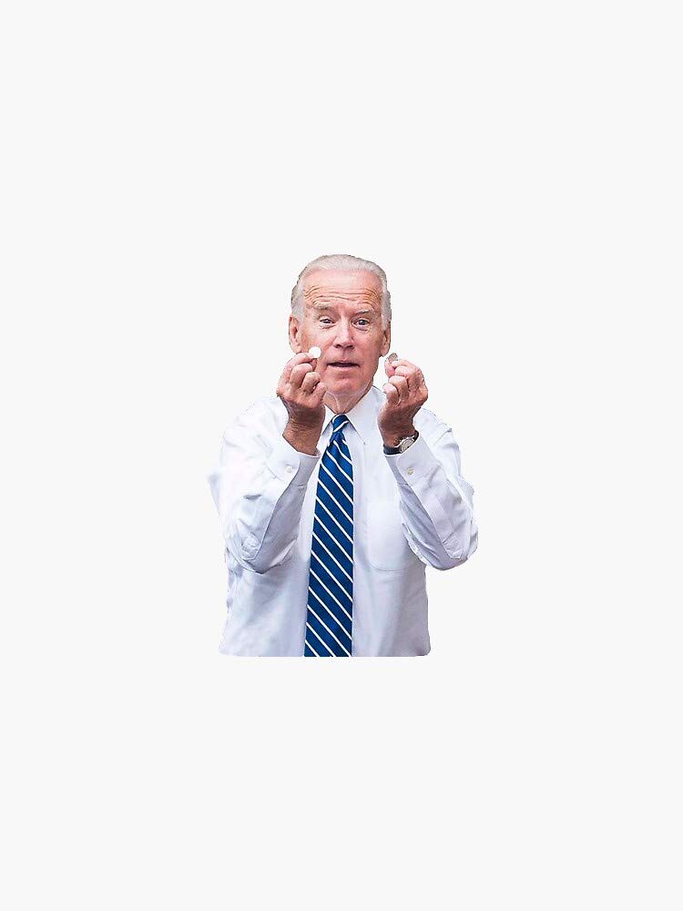 Biden - 5 Inch Vinyl Bumper Sticker Waterproof Decal for Car Window | Political Campaign, Election Support & Car Accessories