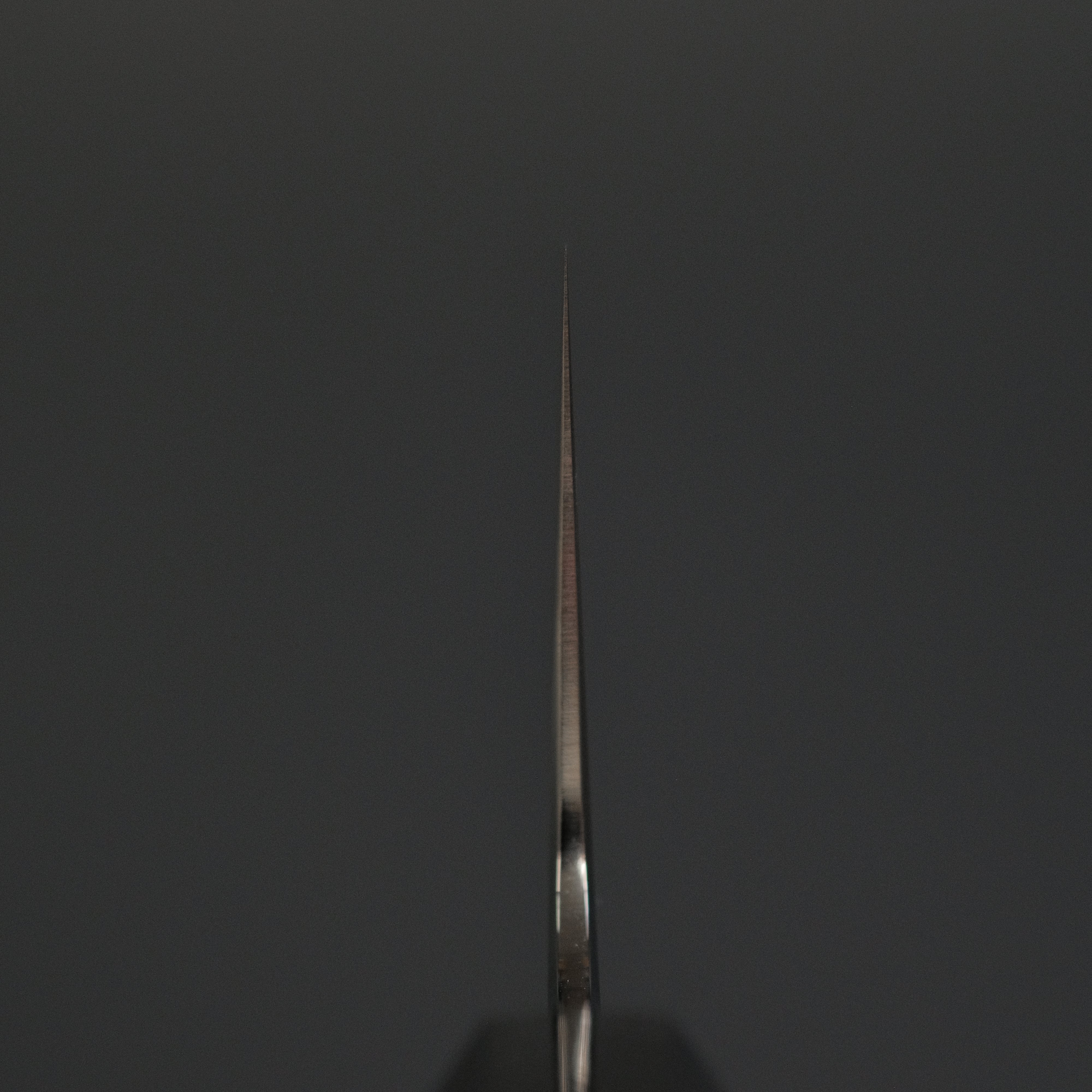 Tetsujin Silver #3 Ukiba Gyuto 240mm Japanese Chef Knife with Taihei Makassar Ebony Handle - Perfect for Sushi, Meat Cutting & Professional Kitchen Use