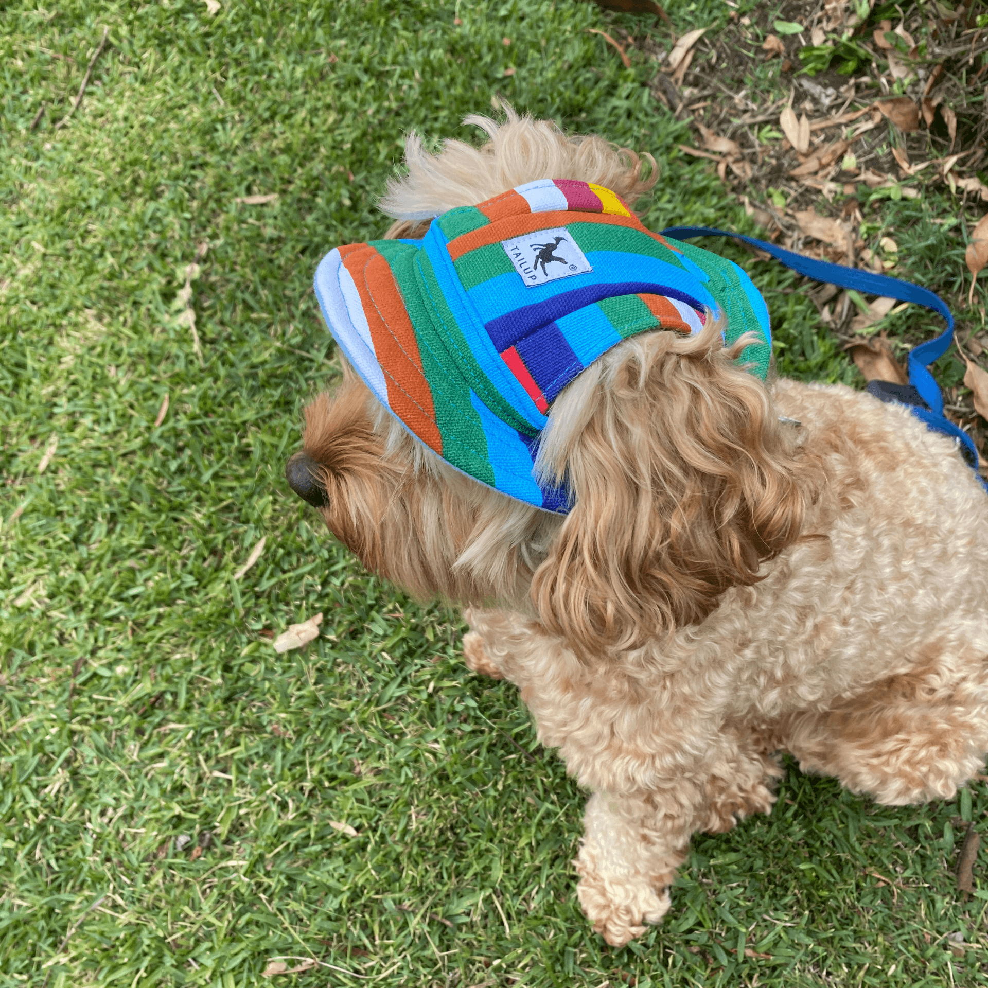 UV Protection Dog Sun Hat with Wide Brim - Breathable & Adjustable Pet Sun Hat for Outdoor Activities, Beach, Hiking, and Summer Adventures