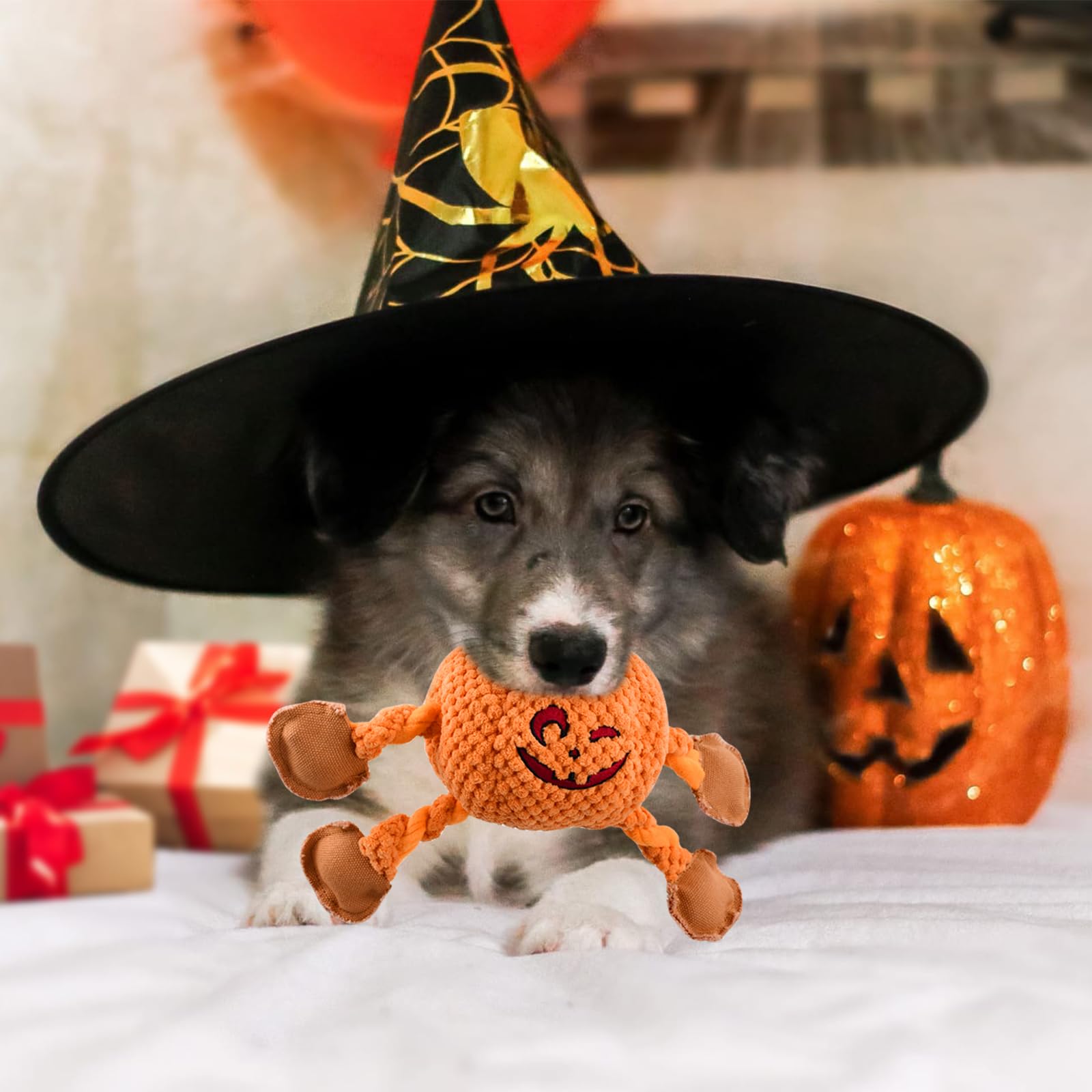 Vehomy Halloween & Thanksgiving Dog Toys - 2PCS Squeaky Pumpkin & Turkey Chew Toys for Small to Medium Dogs - Interactive Puppy Tug of War Toy for Holiday Playtime & Training
