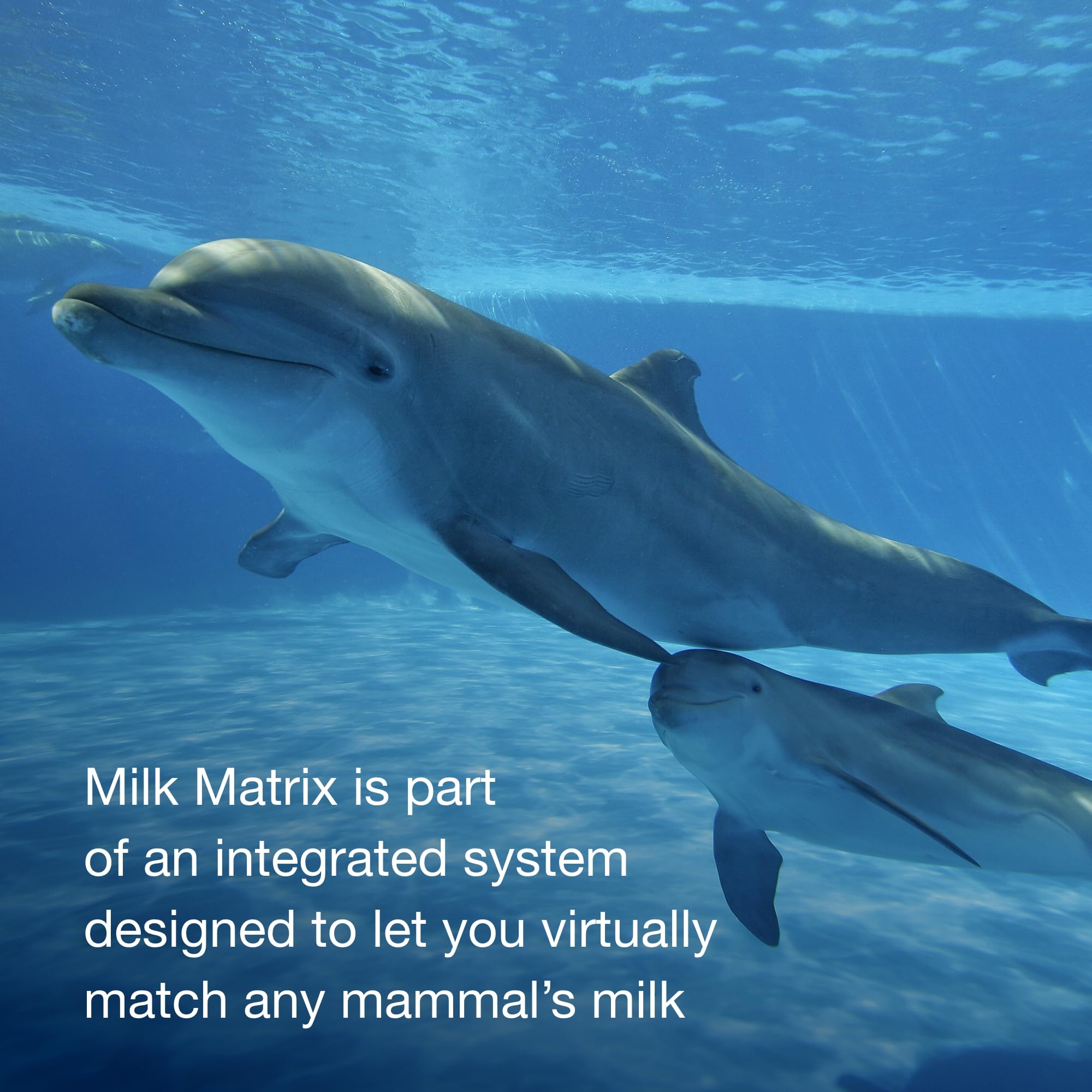 PetAg Zoologic Milk Matrix 30/52 - 15 lb High Protein Milk Powder for Wild & Exotic Animals - Ideal for Zoos, Wildlife Rehab & Exotic Pet Nutrition