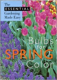 Spring Flower Bulbs for Vibrant Garden Color - Easy Planting & Essential Gardening Tips for Home Landscaping & Outdoor Decor