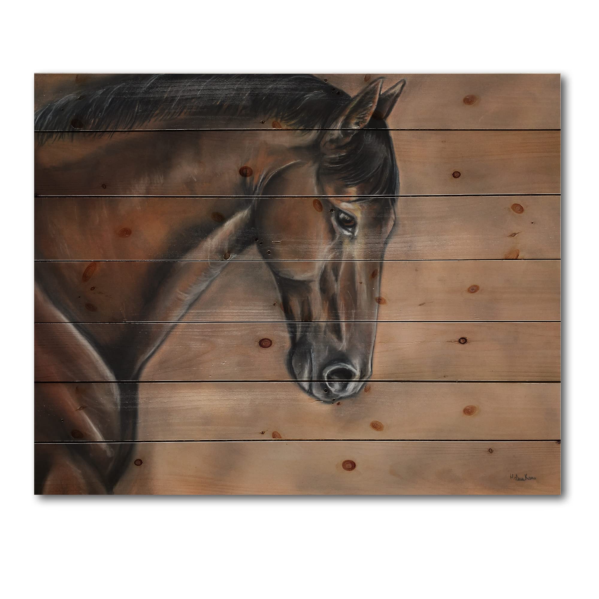 DesignQ Brown Bay Horse Portrait Farmhouse Wood Wall Decor - Large Animal Wall Art Panel Printed on Natural Pine Wood - Perfect for Living Room, Bedroom & Country Home Decor