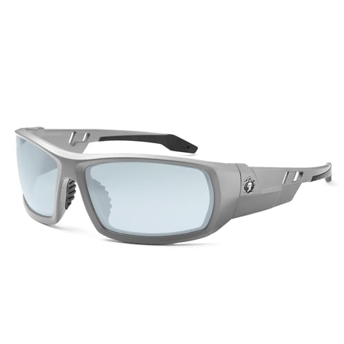In/Outdoor Lens, Gray Frame