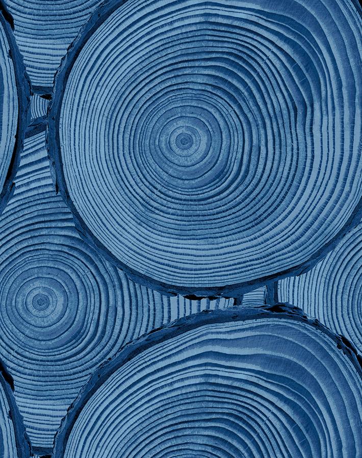Nathan Turner Faux Bois Blue Wallpaper - Premium Peel & Stick Wallpaper for Bedroom, Living Room & Home Decor