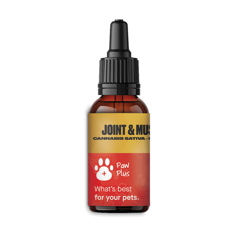 Paw Plus Joint & Muscle Health Supplement for Dogs - Supports Mobility & Comfort - Ideal for Active & Senior Dogs - Vet Recommended Formula