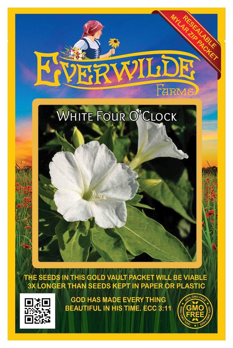 50 White Four O'Clock Wildflower Seeds - Premium Gold Vault Jumbo Seed Packet by Everwilde Farms - Perfect for Home Gardens, Landscaping & Pollinator-Friendly Planting