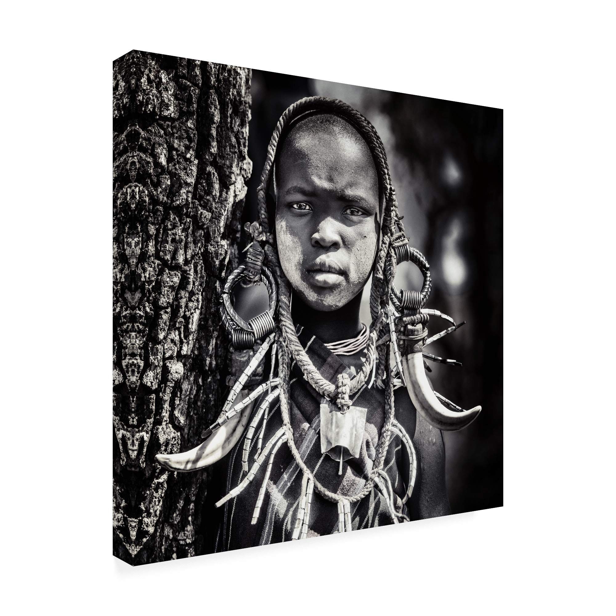 Trademark Fine Art 35x35 Enigma by Piet Flour - Premium Canvas Wall Art for Living Room, Bedroom & Office Decor