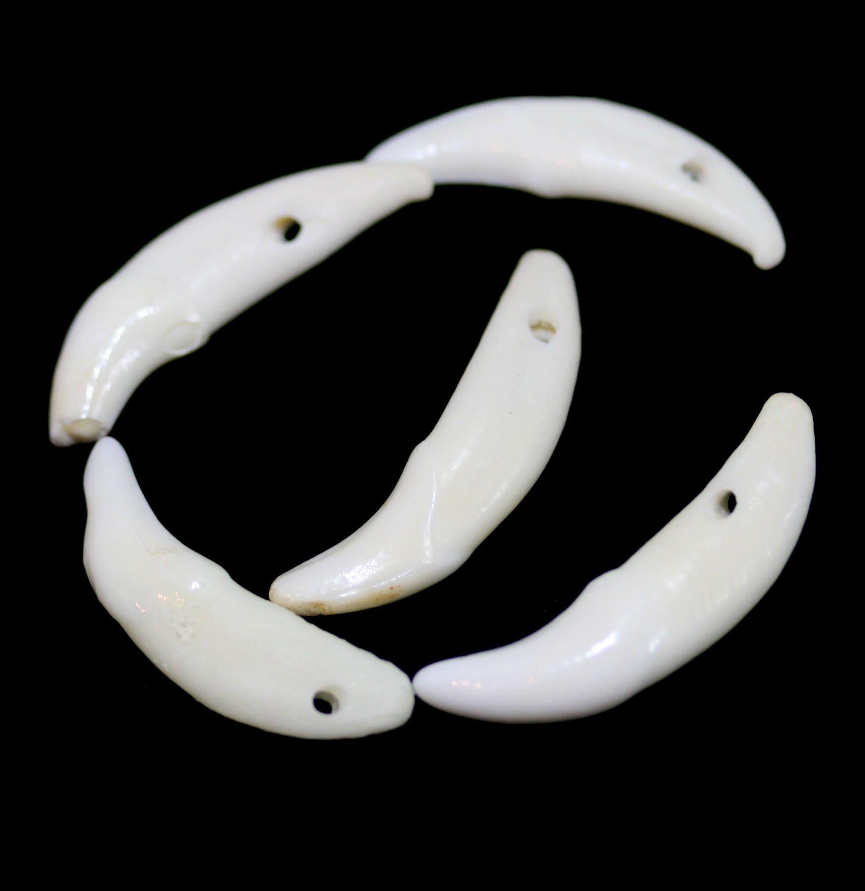 Drilled Canine Tooth Necklace - Handmade Viking Jewelry for Men & Women - Perfect for Cosplay, LARP, and Historical Reenactments
