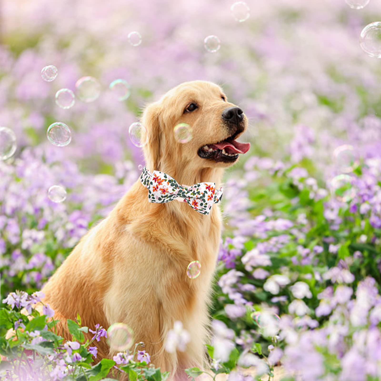 Elegant Adjustable Dog Collar with Bowtie & Spring Flower - Cute Pink Pet Collar for Large Dogs - Perfect for Walks, Parties & Photo Shoots