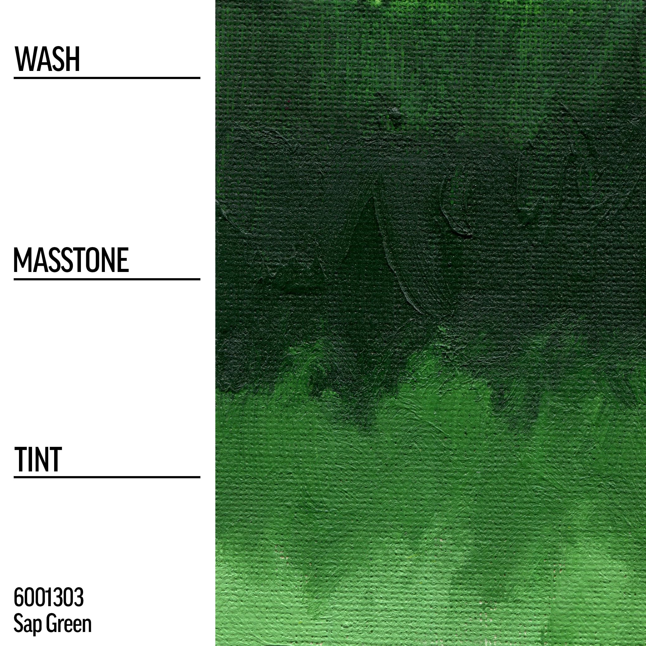 GOLDEN Williamsburg Artist Oil Colors - Sap Green (150 ml Tube) | Professional Semi-Transparent Oil Paint for Canvas Painting & Fine Art