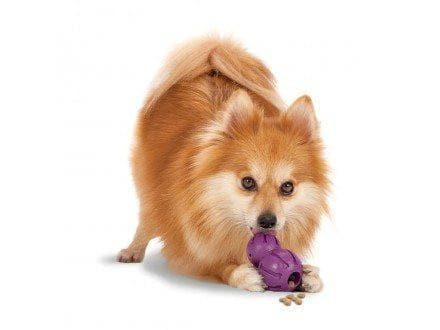 Busy Buddy® Barnacle Dog Toy - Interactive Chew Toy for Small & Medium Dogs - Great for Teething, Boredom & Dental Health - Perfect for Indoor & Outdoor Play