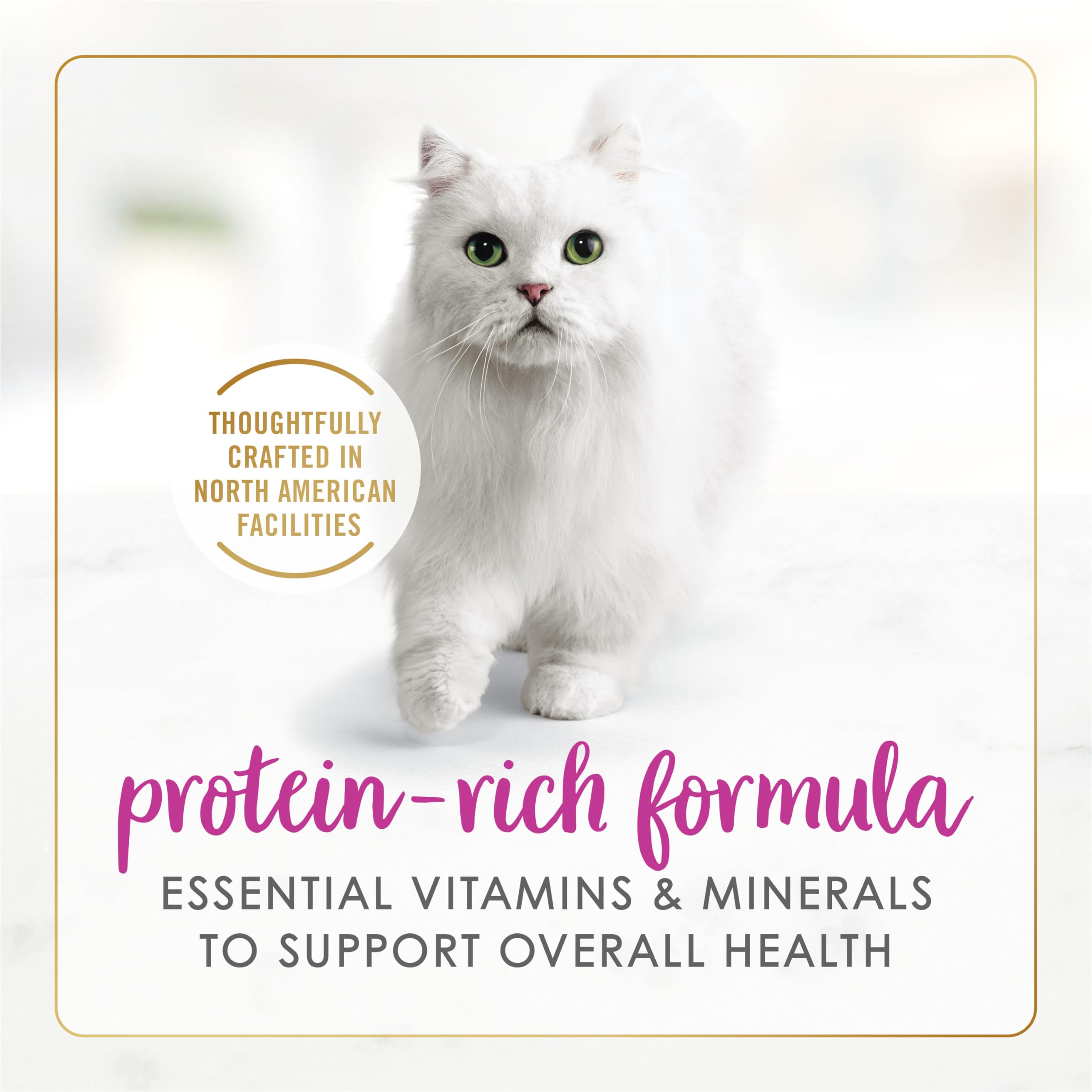 Fancy Feast Wet Cat Food Variety Pack - Chicken, Turkey & Beef Flavors, 85g (24 Cans) | Gourmet Meals for Adult Cats | Perfect for Daily Feeding & Special Treats