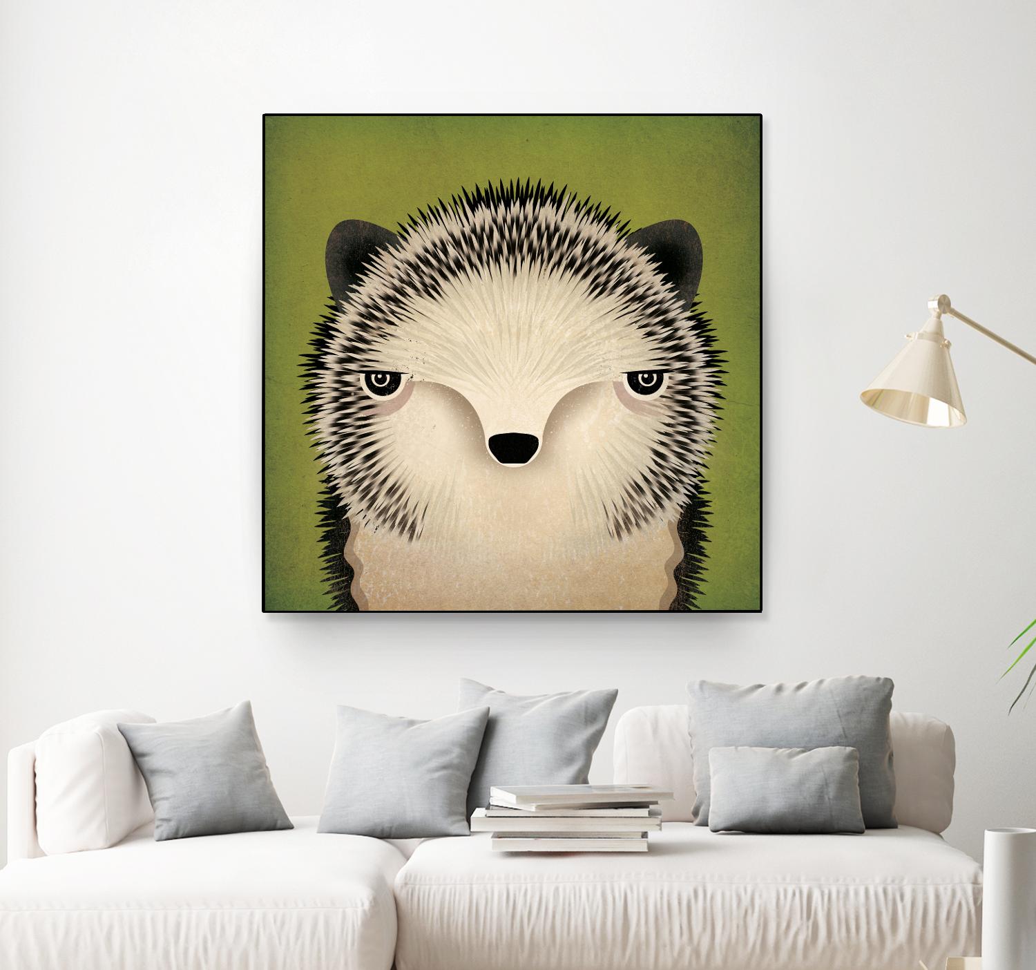 Adorable Baby Hedgehog Pet - Live Hedgehog for Sale | Perfect for Exotic Pet Lovers & Small Animal Enthusiasts | Great for Home Companionship & Educational Pets