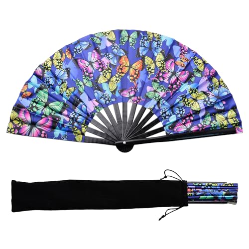 Colorful Butterfly