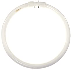 Technical Precision FC12T5/835-2GX13 Replacement Light Bulb - Energy Efficient T5 Fluorescent Tube for Home, Office & Commercial Lighting