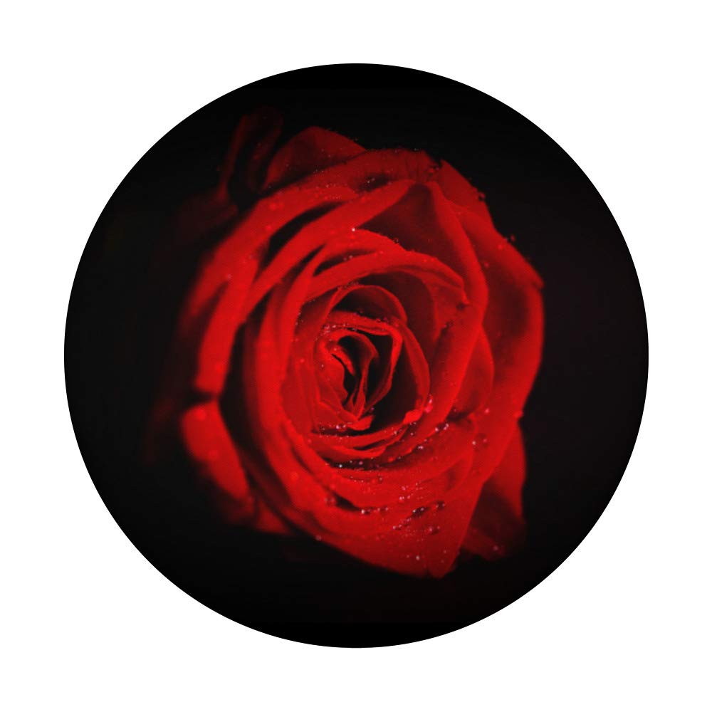 Red Rose PopSockets Swappable PopGrip - Phone Grip Stand for iPhone & Samsung - Perfect for Selfies, Video Calls & Secure Phone Handling