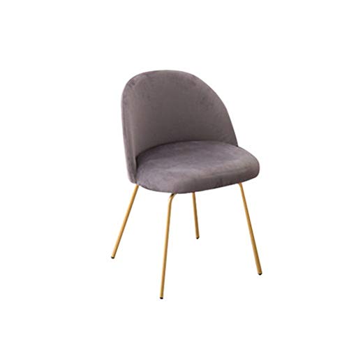 Metal Legs Dining Chairs for Living Room - Modern Home & Cafe Furniture (Gray) | Perfect for Makeup Studios, Milk Tea Shops, Western Restaurants & Nail Salons