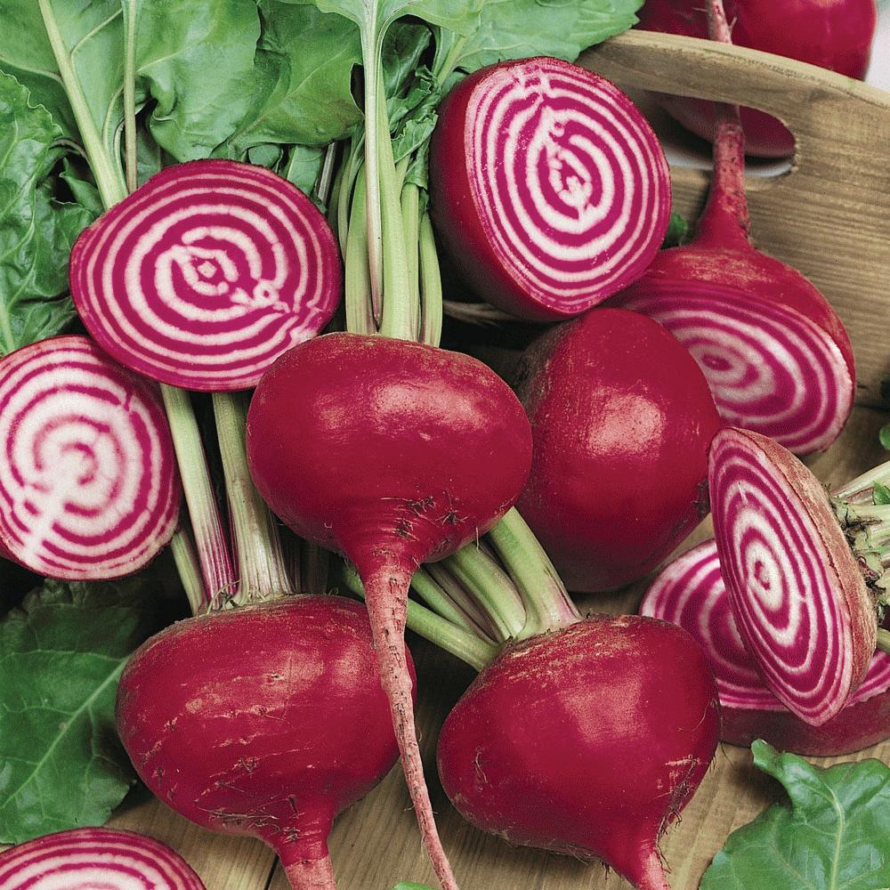Organic Chioggia Beet Seeds for Planting - Non-GMO, Heirloom Variety - Perfect for Home Gardens, Farmers Markets & Healthy Eating