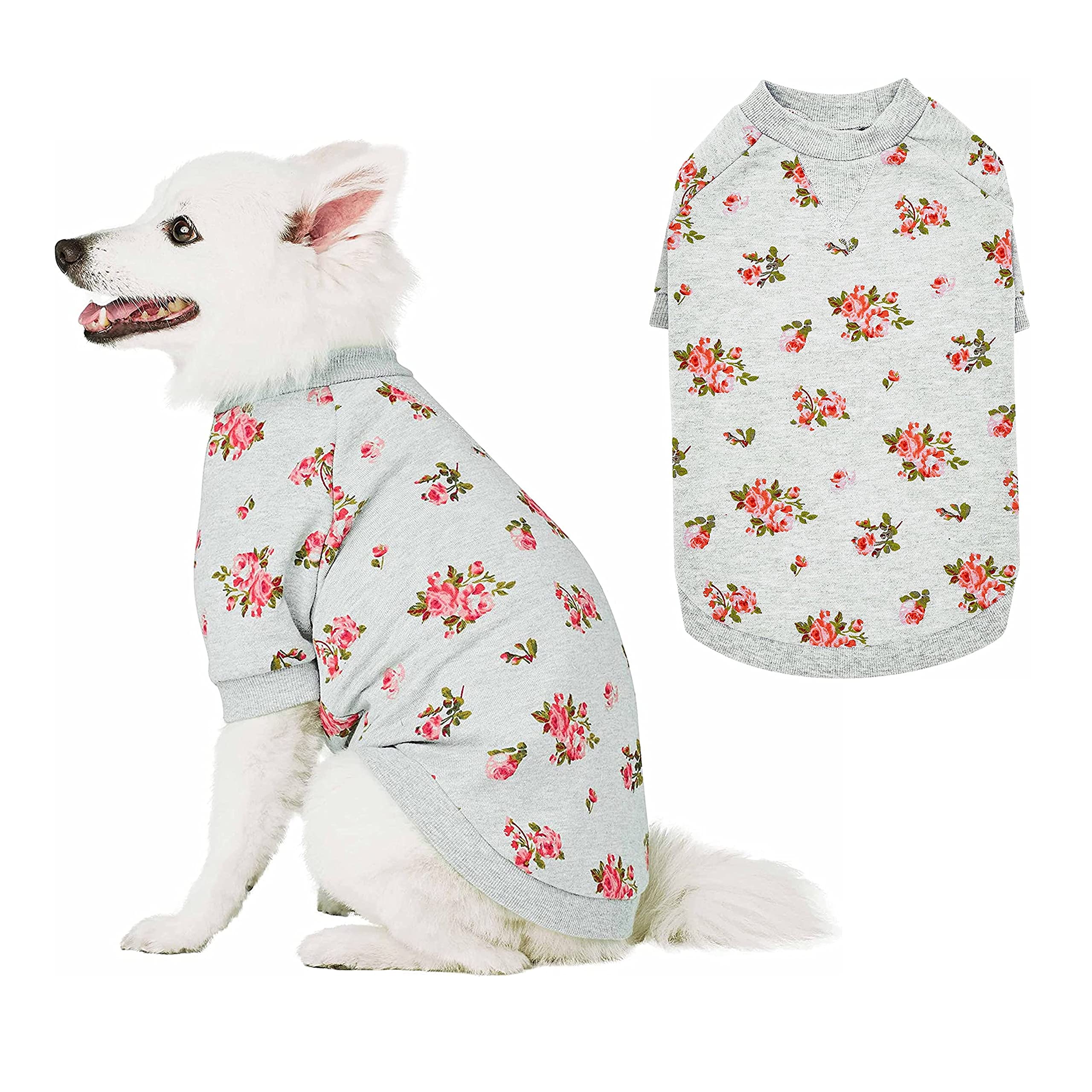 Blueberry Pet 2023 New Spring Rose Scented Dog Sweatshirt - Grey Crew-Neck Pullover for Small Dogs (16