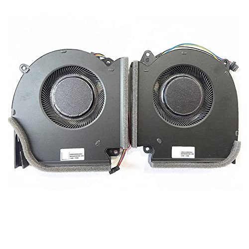 A Pair of Fans
