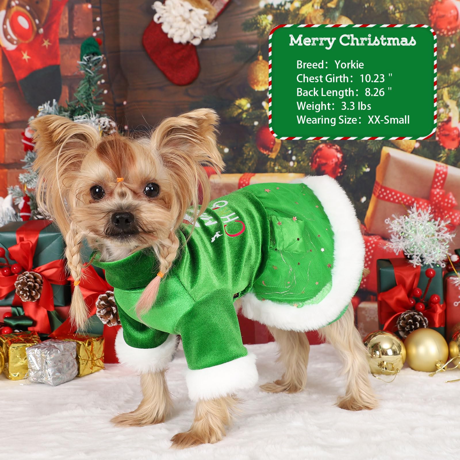 LED Light Pet Christmas Sweater Dress for Small Dogs - Festive Green Velvet Puppy Outfit with Soft Fabric for Holiday Parties & Family Photos
