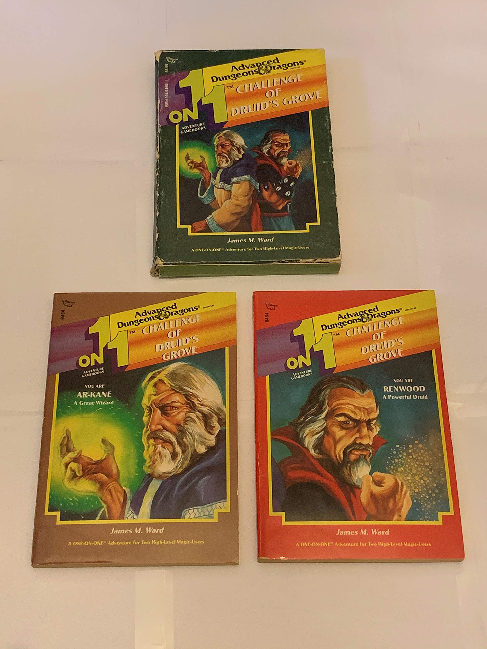 Druid's Grove Adventure Gamebook Set - 2 Book Collection for 1 on 1 Fantasy Roleplaying | Perfect for Tabletop RPG Nights & Solo Gaming
