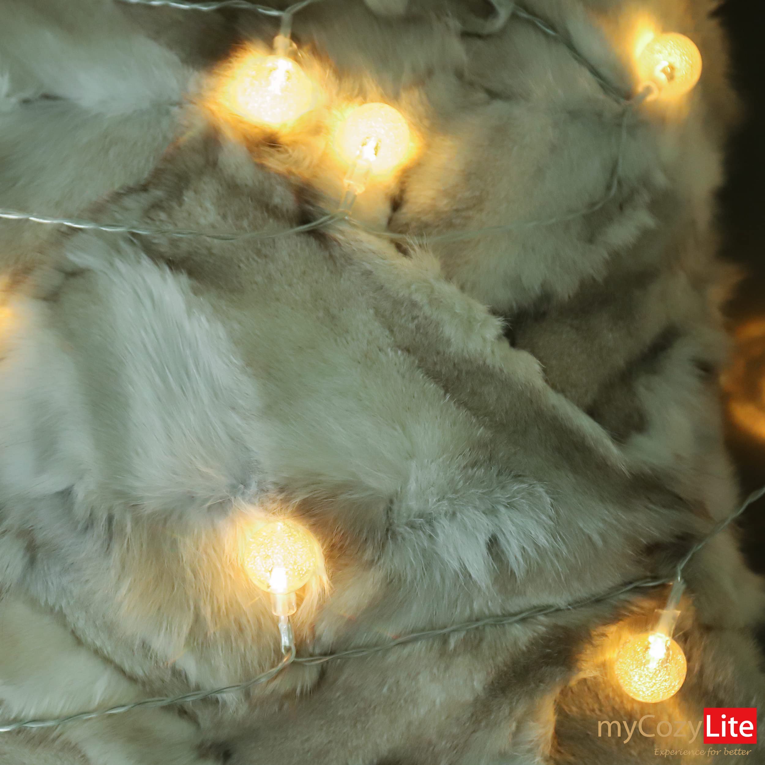 myCozyLite 20 Crystal Ball LED String Lights Plug in - Indoor/Outdoor Globe Fairy Lights with Timer for Balcony, Patio, Bedroom & Wall Decor | Warm White Extendable Decorative Lighting for Parties, Weddings & Home Ambiance