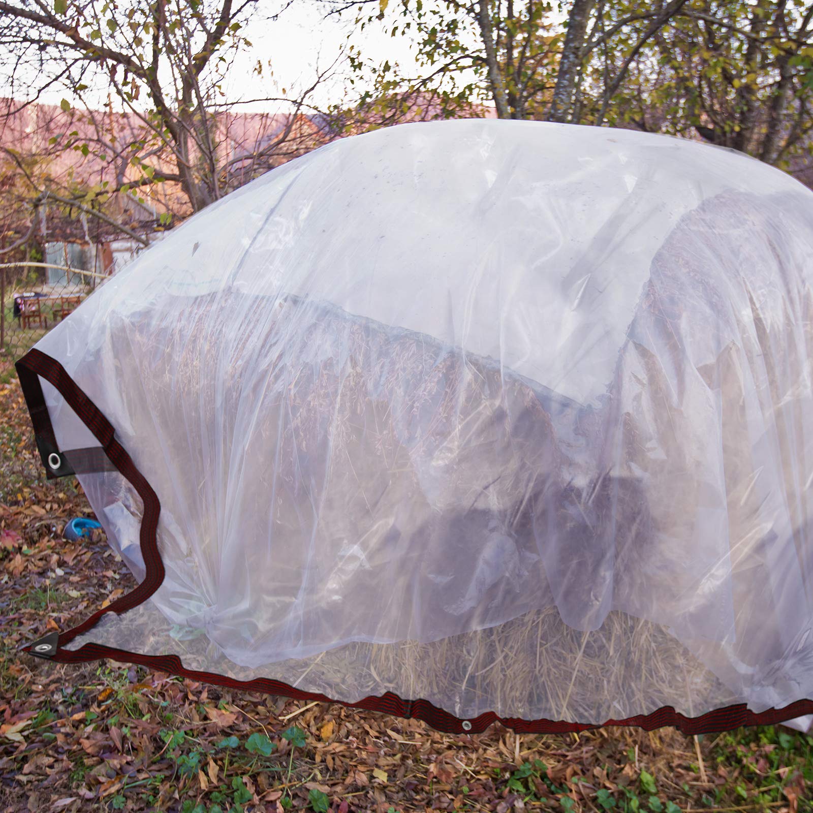 Heavy Duty Clear Waterproof Tarp 6.5x6.5 FT - Reinforced PE Cover with Rustproof Grommets & Elastic Ropes | UV Resistant, Anti-Aging for Outdoor Use | Perfect for Garden Plants Protection, Patio Furniture Cover, Chicken Coop Shelter, Camping & Emergency Preparedness