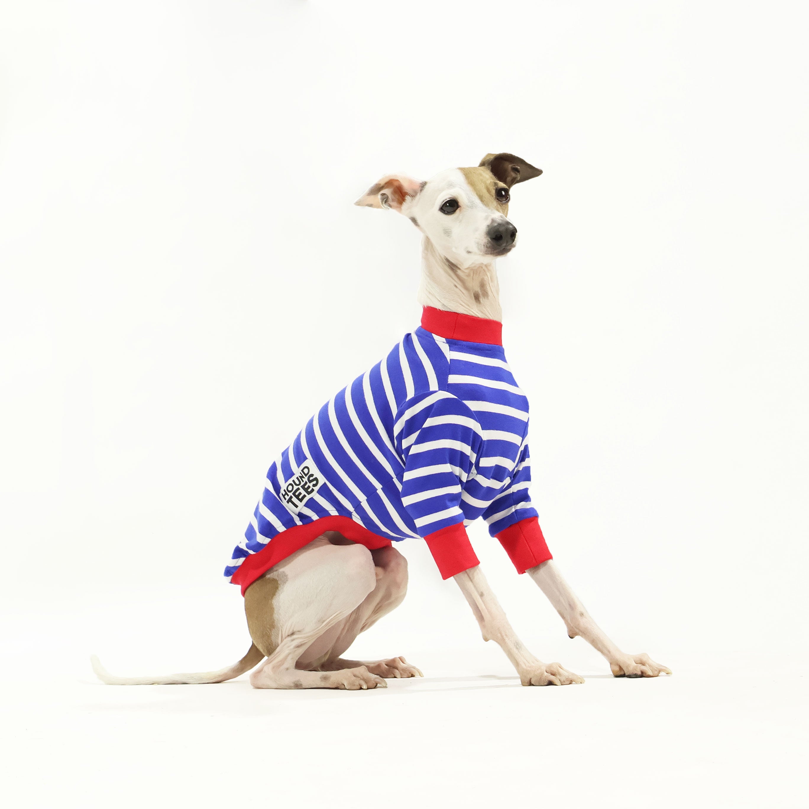 Blue Breton Italian Greyhound Long Sleeve T-Shirt for Men & Women - Comfortable Dog Lover Apparel for Casual Wear, Outdoor Activities & Pet Owner Gifts