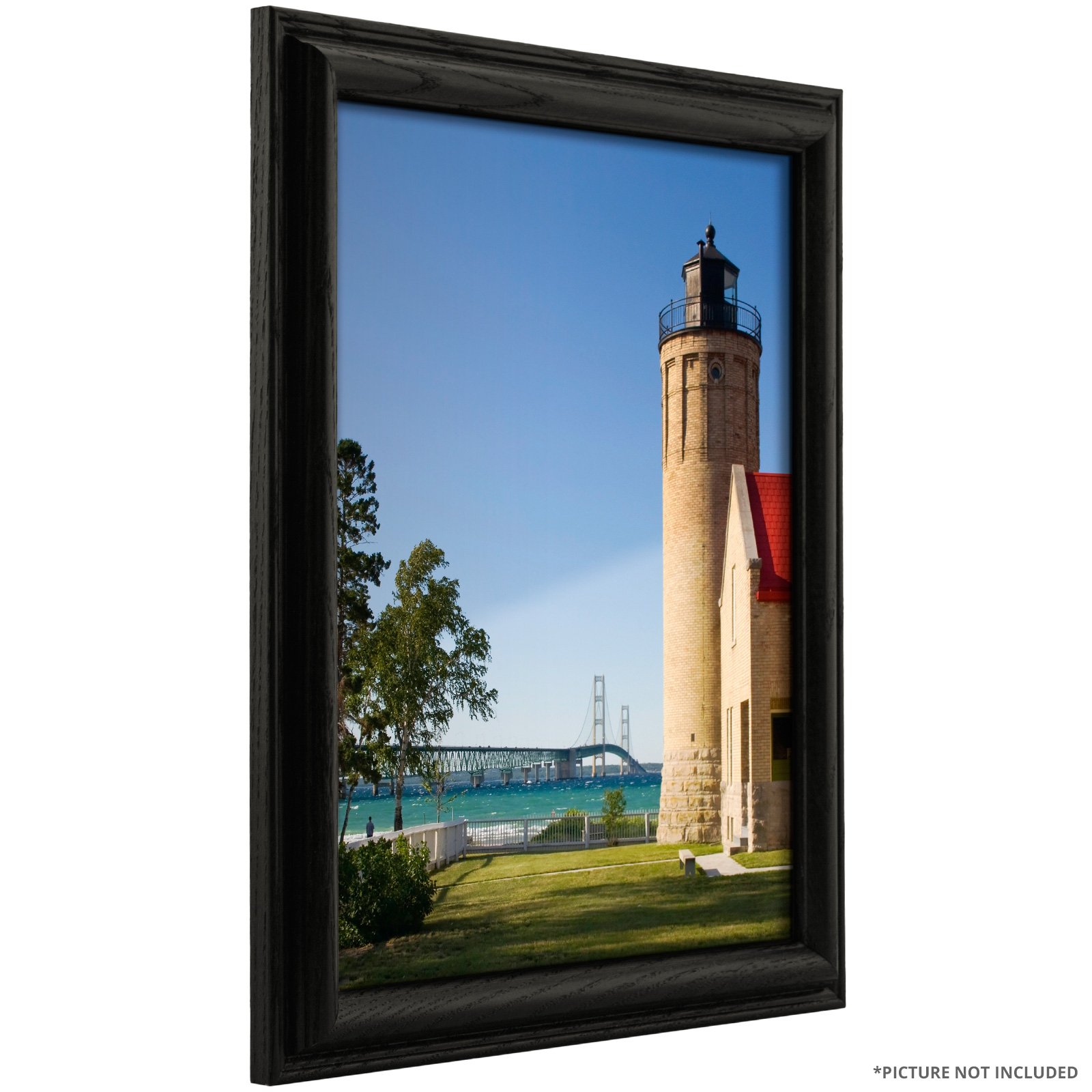 Craig Frames Wiltshire 130 Black 19x25-Inch Picture Frame - Perfect for Wall Art, Photos & Home Decor | Wall Mount or Tabletop Display