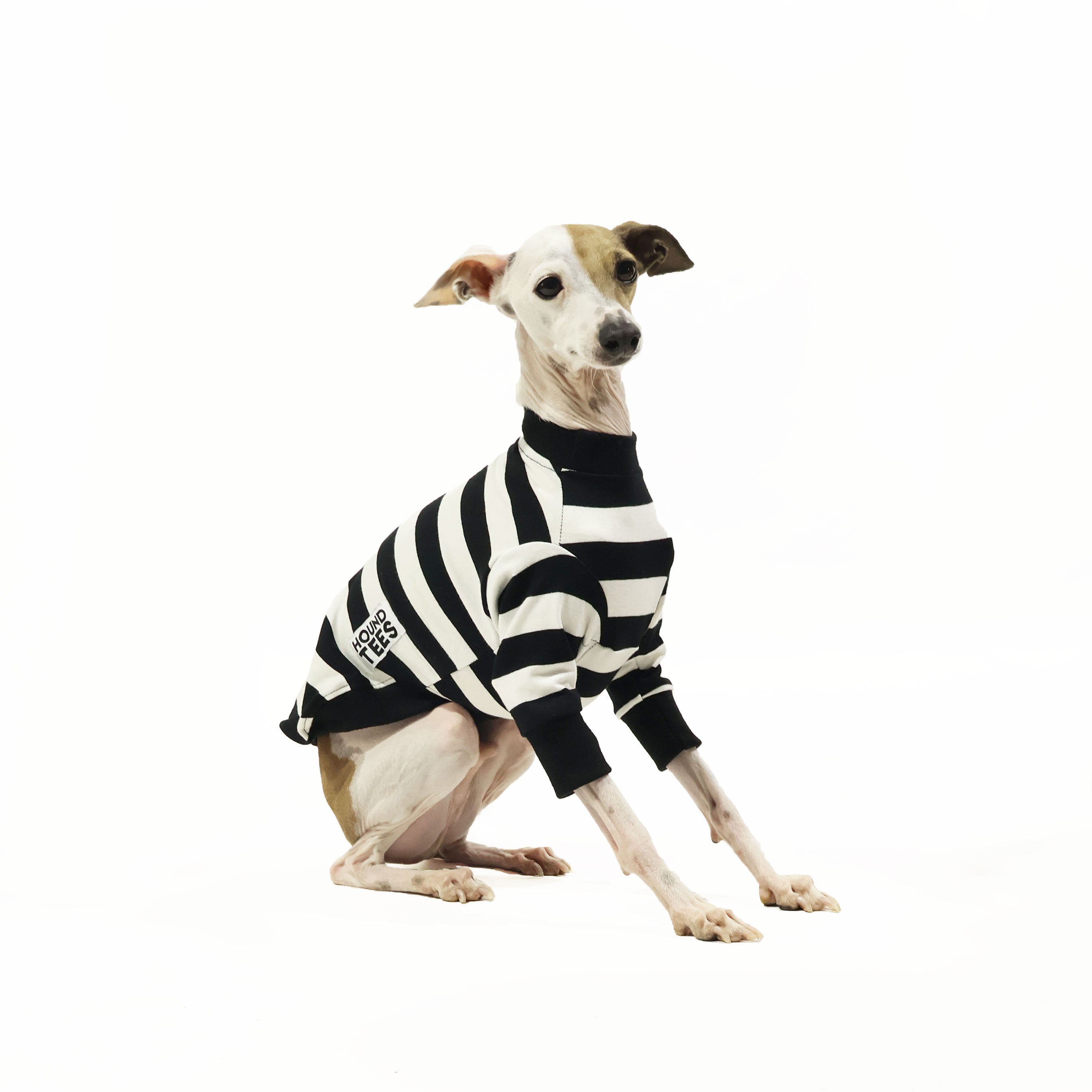 Italian Greyhound Long Sleeve T-Shirt - Jailbreak Hound Dog Graphic Tee for Men & Women - Perfect for Dog Lovers, Casual Wear & Pet-Themed Outfits