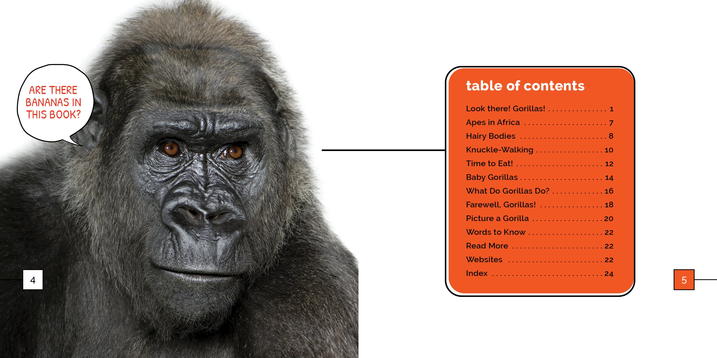 Gorillas Book 9781640268425 - Wildlife Facts, Photos & Conservation for Animal Lovers - Perfect for Nature Enthusiasts & Educational Reading